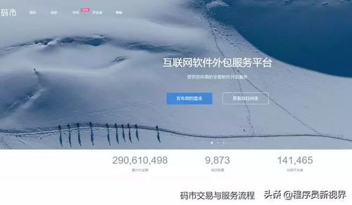 碼市平臺接單指南 CSDN軟件開發者的高效變現路徑